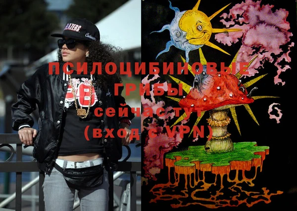 mix Лабытнанги