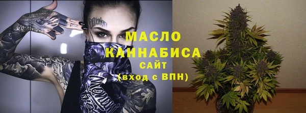 индика Михайлов