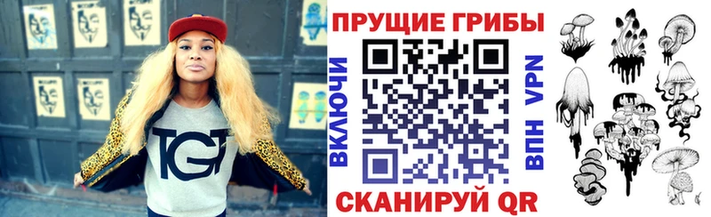 Псилоцибиновые грибы Psilocybe  Шумиха 